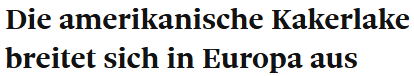 viktorgiacobbo's tweet image. Sie hat bereits viele Anhängerinnen unter europäischen Kakerlaken!