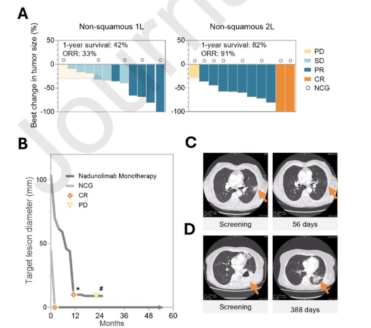 🚨 Nadunolimab + Platinum Doublet Shows Promising Activity in 2L NSCLC Post-ICI 🧬💥

🔬 Study Focus:
Nadunolimab, an anti-IL1RAP monoclonal antibody, was evaluated with platinum-doublet chemotherapy in advanced NSCLC (1L and 2L post-pembrolizumab) in a phase I/II study