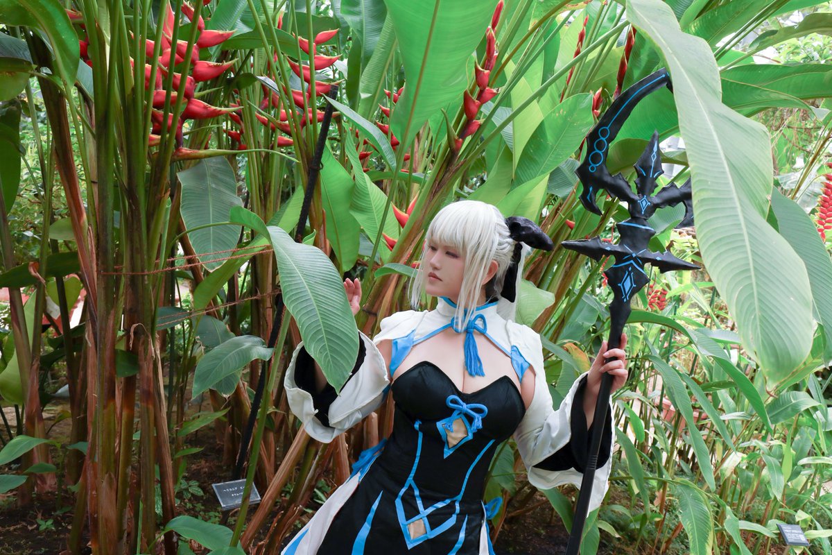 aoincos's tweet photo. コスプレ*fgo
モルガン*
星の内海から流れ着いた楽園の妖精《アヴァロン・ル・フェ》
撮影*蒼炎さん
#CNSFirstOrder5
#CNSコス https://t.co/vGccrpBU92