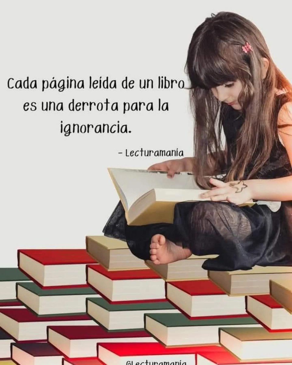 📚📚📚