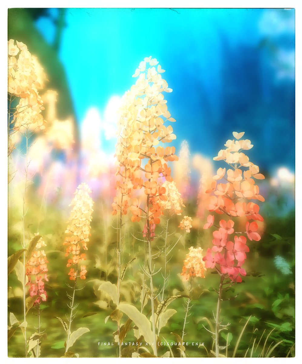 Please tap𓂃.◌𓈒𓏲𓆸
