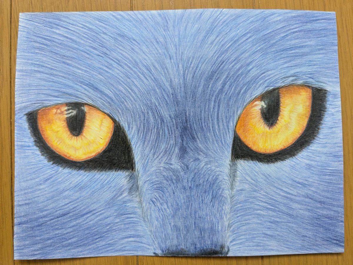 #うぉうぉ紙　#色鉛筆画