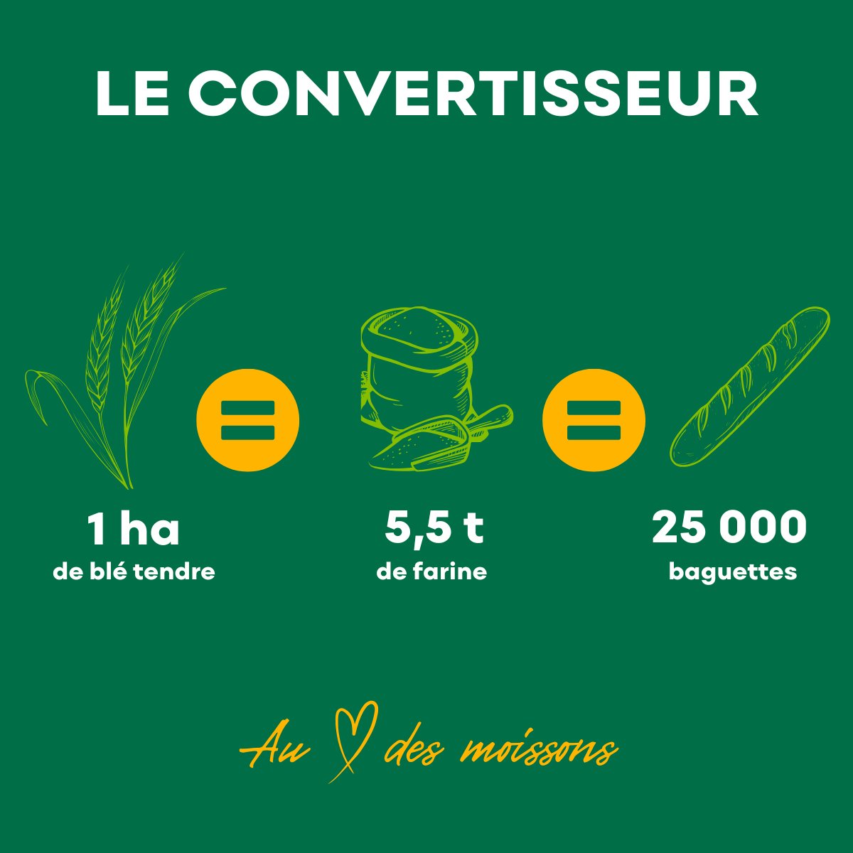 🌾⭐ Chiffre clé filière : Le convertisseur de blé⭐

Les moissonneuses s’activent tout autour de vous, mais savez-vous ce que l’on peut faire avec un hectare de blé tendre ?

1 hectare de blé tendre permet de produire 5,5 tonnes de farine pour fabriquer 25 000 baguettes.