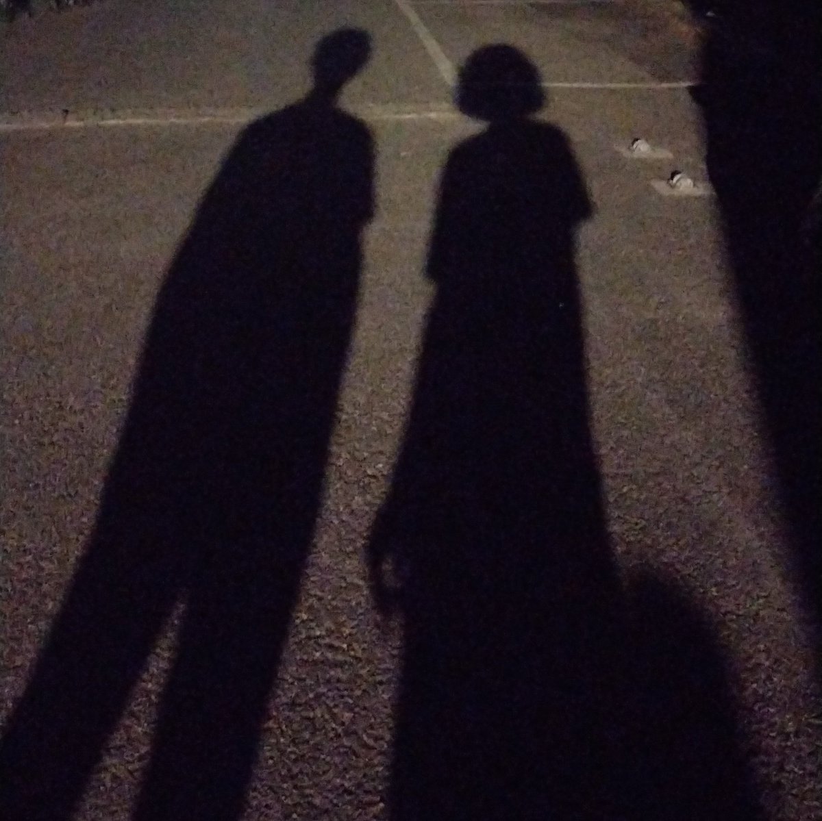 la guepe tweet media