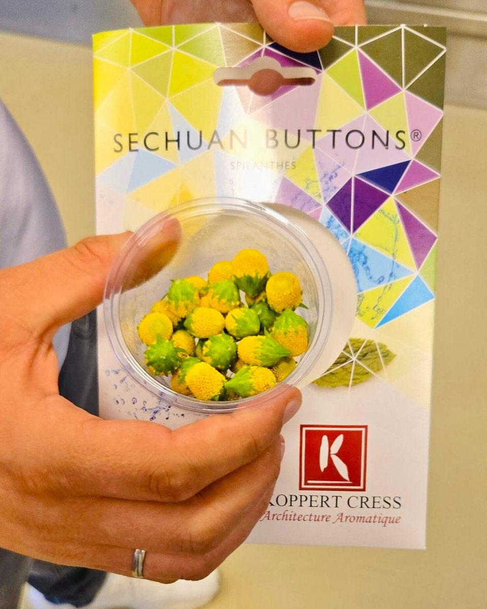 Aus holländischen Gewächshäusern kommt so viel mehr als nur Gurken und Tomaten. Lebensmittelmagazin.de ist an die holländische Küste gefahren, um sich Vanille-Orchideen im regionalen Anbau anzuschauen 👇
lebensmittelmagazin.de/ernaehrung-ges…

<a href="/koppertcress/">Koppert Cress</a>