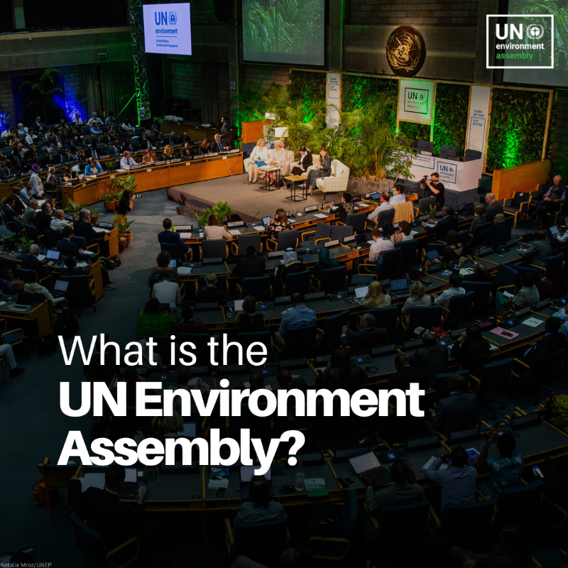 UNEP's tweet photo. From setting the global environmental agenda to ensuring every country's voice is heard, UNEA is a unique platform that brings together the international community to tackle the biggest environmental challenges of our time.

Explore more:
