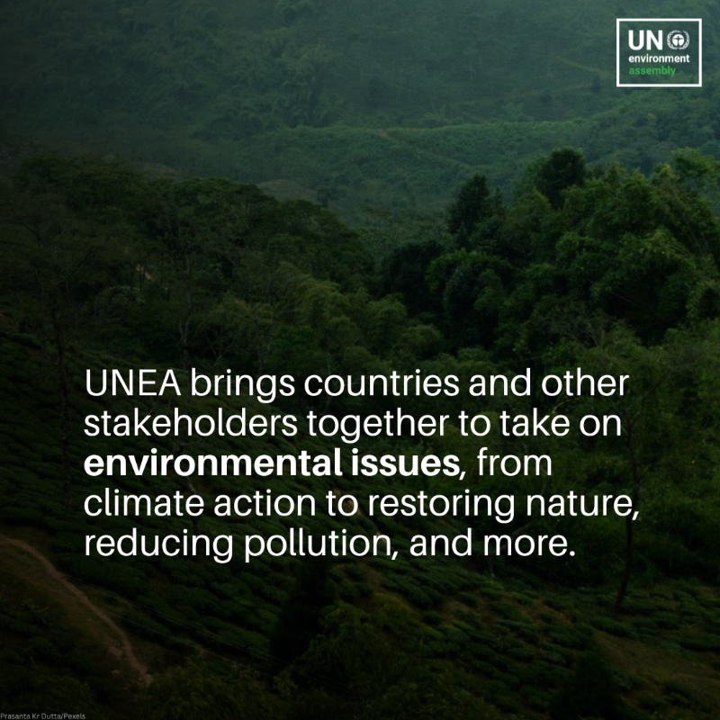 UNEP's tweet photo. From setting the global environmental agenda to ensuring every country's voice is heard, UNEA is a unique platform that brings together the international community to tackle the biggest environmental challenges of our time.

Explore more: