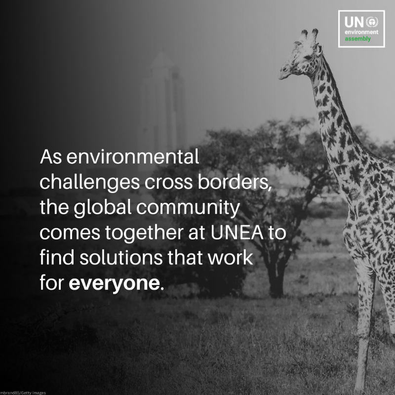 UNEP's tweet photo. From setting the global environmental agenda to ensuring every country's voice is heard, UNEA is a unique platform that brings together the international community to tackle the biggest environmental challenges of our time.

Explore more: