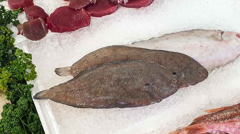 Dover sole is one of the most prized of fish, due to its delicate flavour and firm flesh Here is a traditional French simple recipe buff.ly/3kCebi9