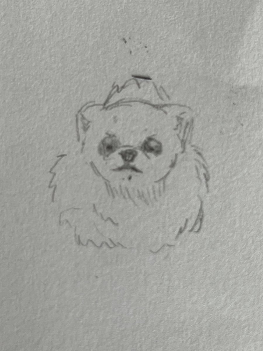 pompom_x_xu's tweet image. デジタル進まなくてアナログをテキトーに描いてる。へーだゆと犬。