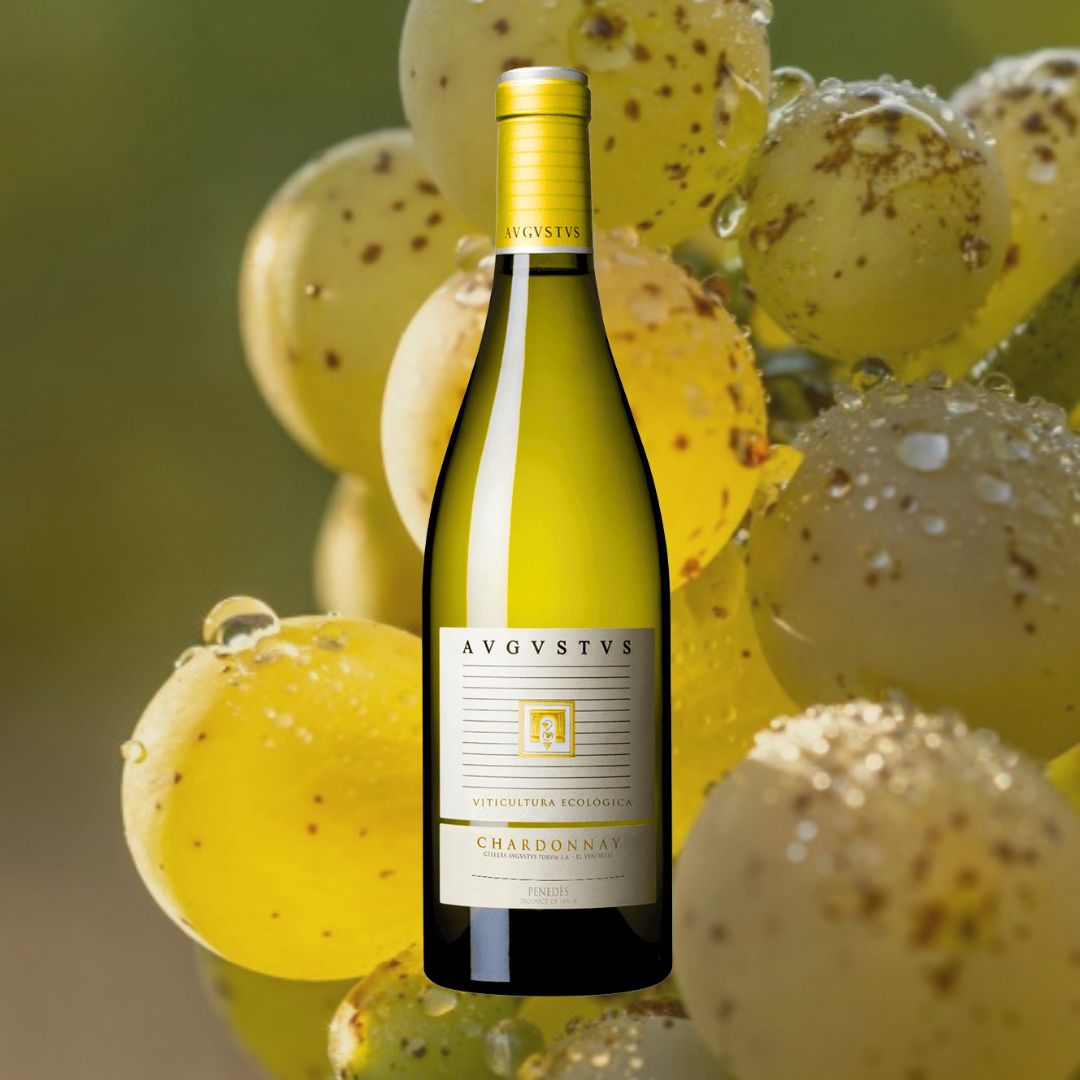 Avgvstvs Forvm tweet media