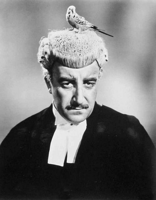 PeterFandom's tweet image. Good morning Twitter 🌞
William Morganhall
#TheDockBrief or #TrialAndError 1962.
#PeterSellers & a Budgie
