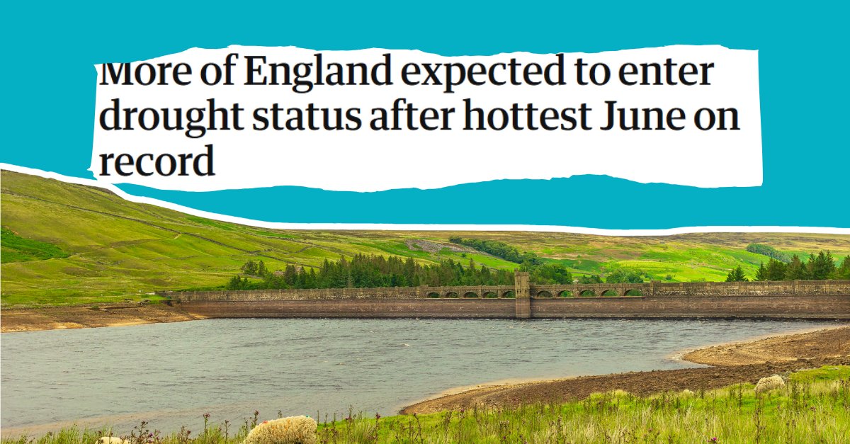 WCL_News's tweet image. Drought action waits for taps to run low instead of keeping rivers alive🚿
We need a more proactive approach to keep chalk streams flowing, protect farms & shield species🌊
This must include industry fixing leaks, & campaigns to boost water efficiency🚰
theguardian.com/environment/20…