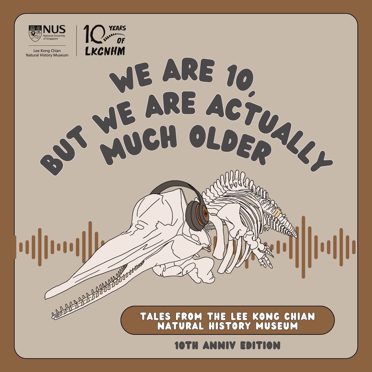 lkcnhm's tweet image. The Museum recently celebrated its 10th Anniversary!
In this special 10th Anniversary edition of the podcast, join Professor Leo Tan, Advisor of LKCNHM, as he takes us down memory lane to where it all started.
Check out this episode here: open.spotify.com/episode/0xWb7n…