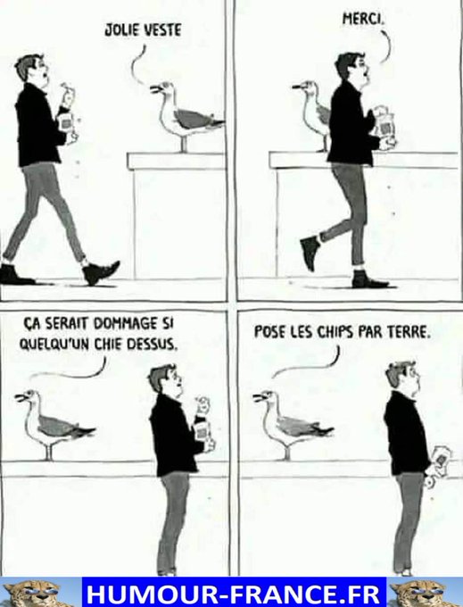 text alternatif