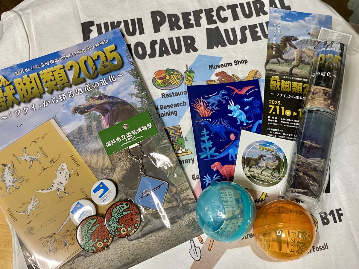 Lightmaker12442's tweet image. 昨日のお土産🦖 ~ 年パスアメニティのポストカードを添えて~
館内図Tシャツ オフホワイトも無事ゲット。
FPDM戯画A6クリアファイルは特別展等で貰えるステッカー持ち帰り用に。
特別展グッズはどうせまた行くし控えめ。
#福井県立恐竜博物館 #FPDM