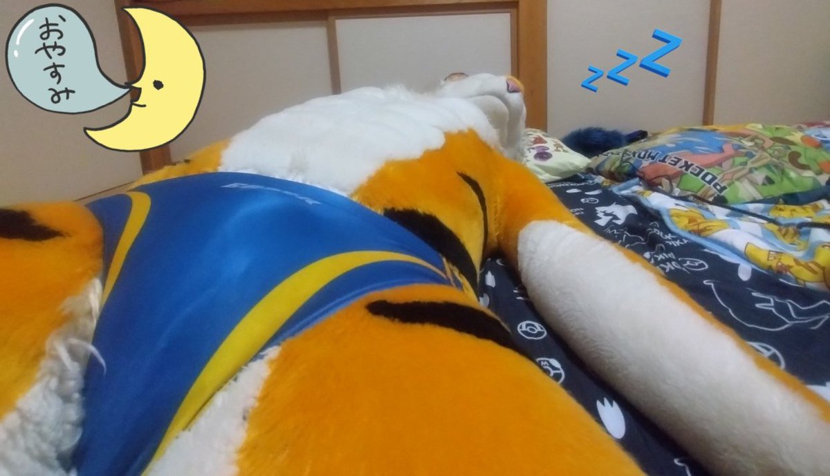 眠たいから寝る
おやすみ〜🐯💤