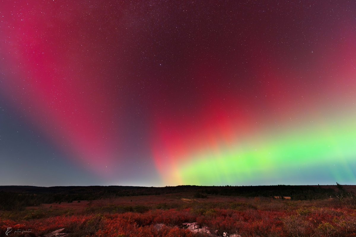 forecaster25's tweet image. Aurora Borealis at Dolly Sods ✨
📍 Bear Rocks, West Virginia. October 10, 2024