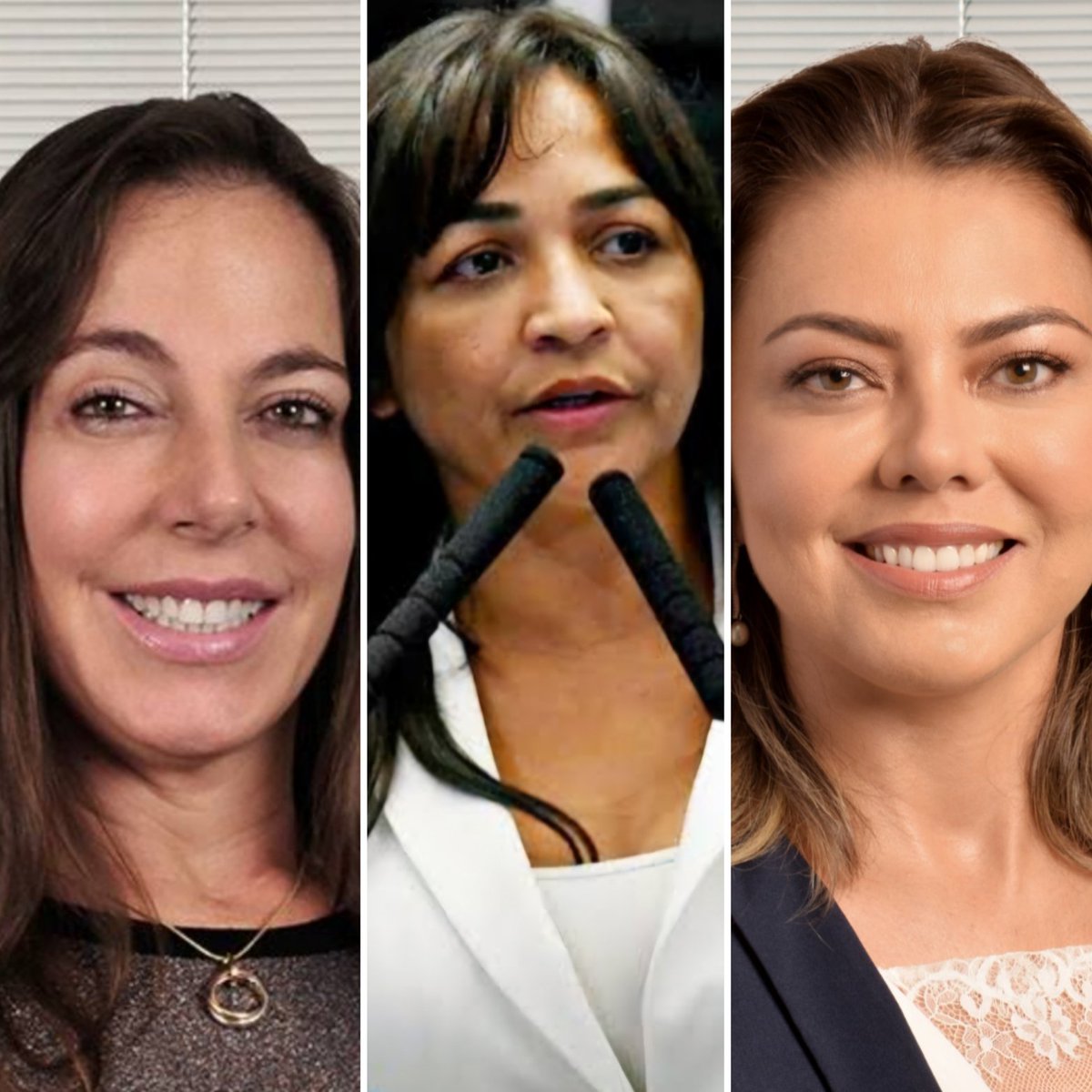 Três trastes no Senado. 
Em 2026 demissão por justa causa!!!
Faço campanha de graça. Quem vem comigo?