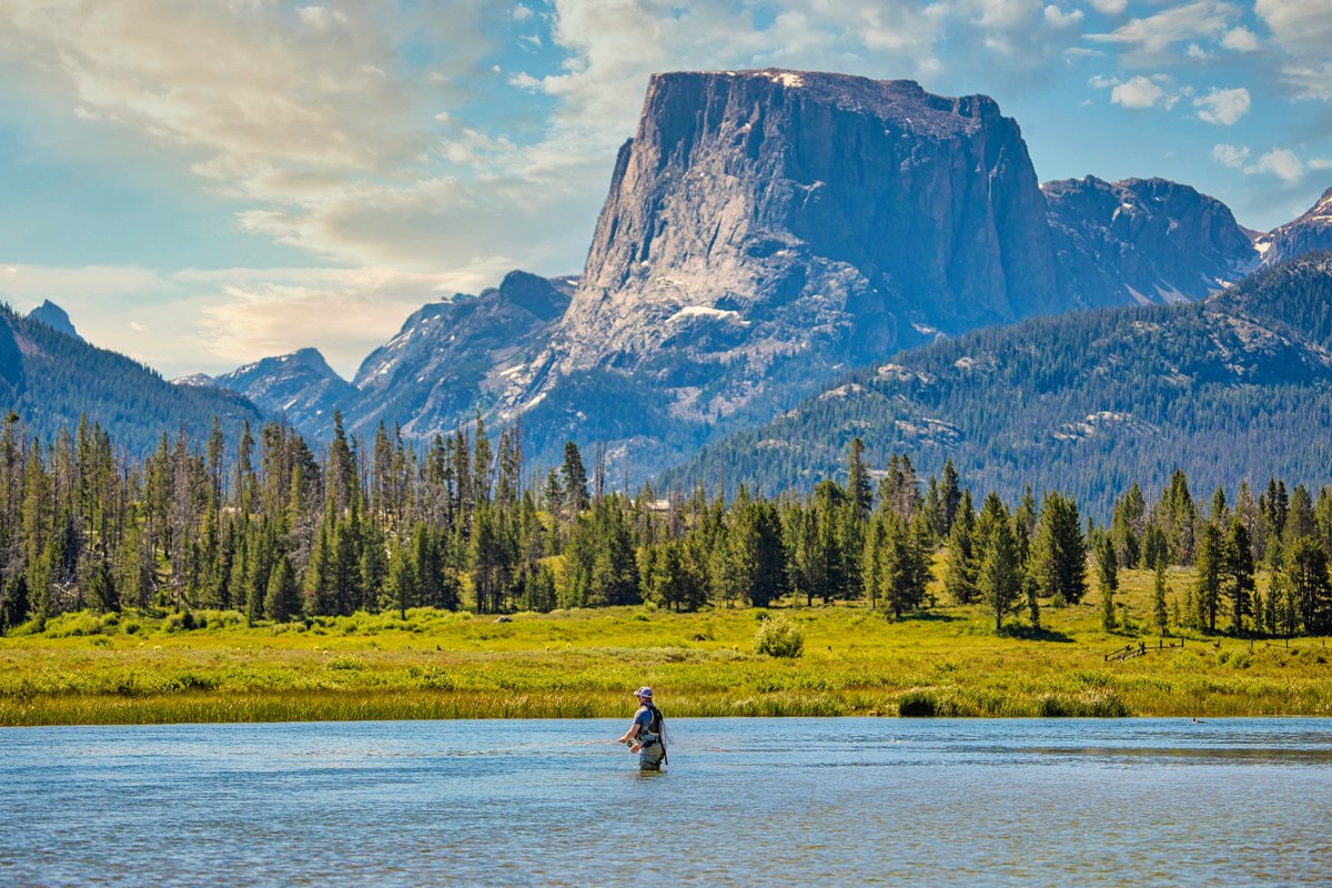 FlyFishingPlace's tweet image. So......I don't want to brag but I just made seven decades plus one year's worth of trips around the sun. Not bad for a boy who was raised by wolves in the Powder River Breaks of Eastern Montana. Have a great day Friends! 🎇🎆🇺🇸🇺🇸🇺🇸🇺🇸🇺🇸🇺🇸🇺🇸🇺🇸🇺🇸🇺🇸