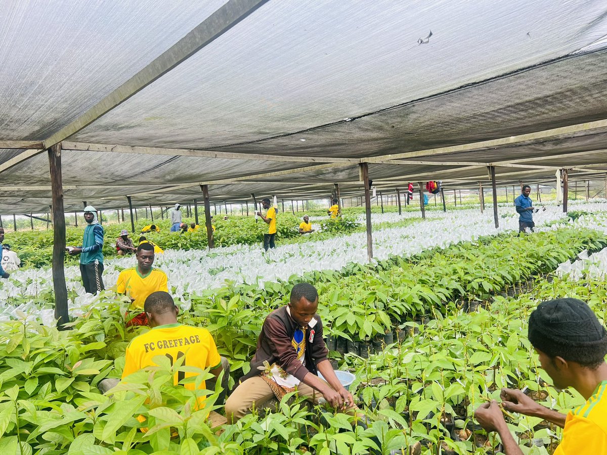 Ruvusha_Israel's tweet image. #HassAvocadoProject 

Strong team #GreffageFC