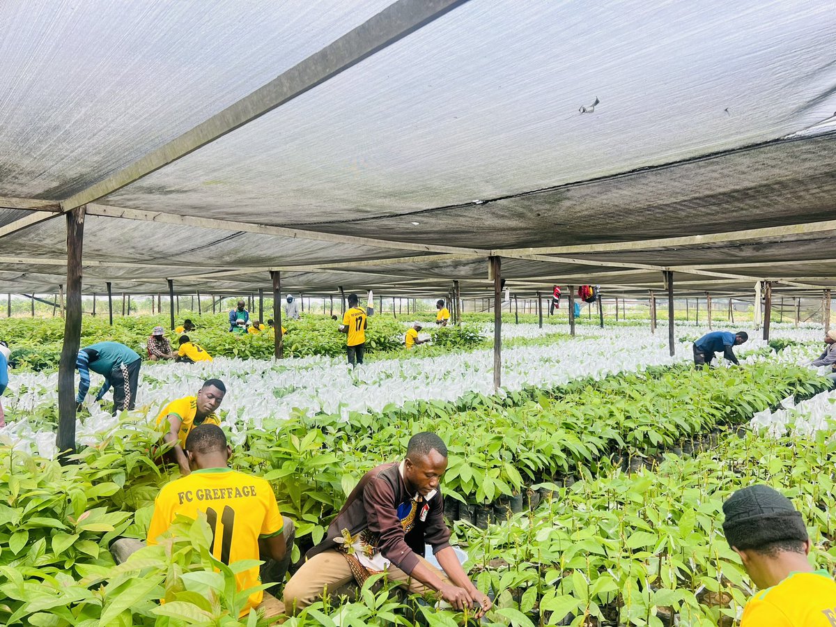 Ruvusha_Israel's tweet image. #HassAvocadoProject 

Strong team #GreffageFC
