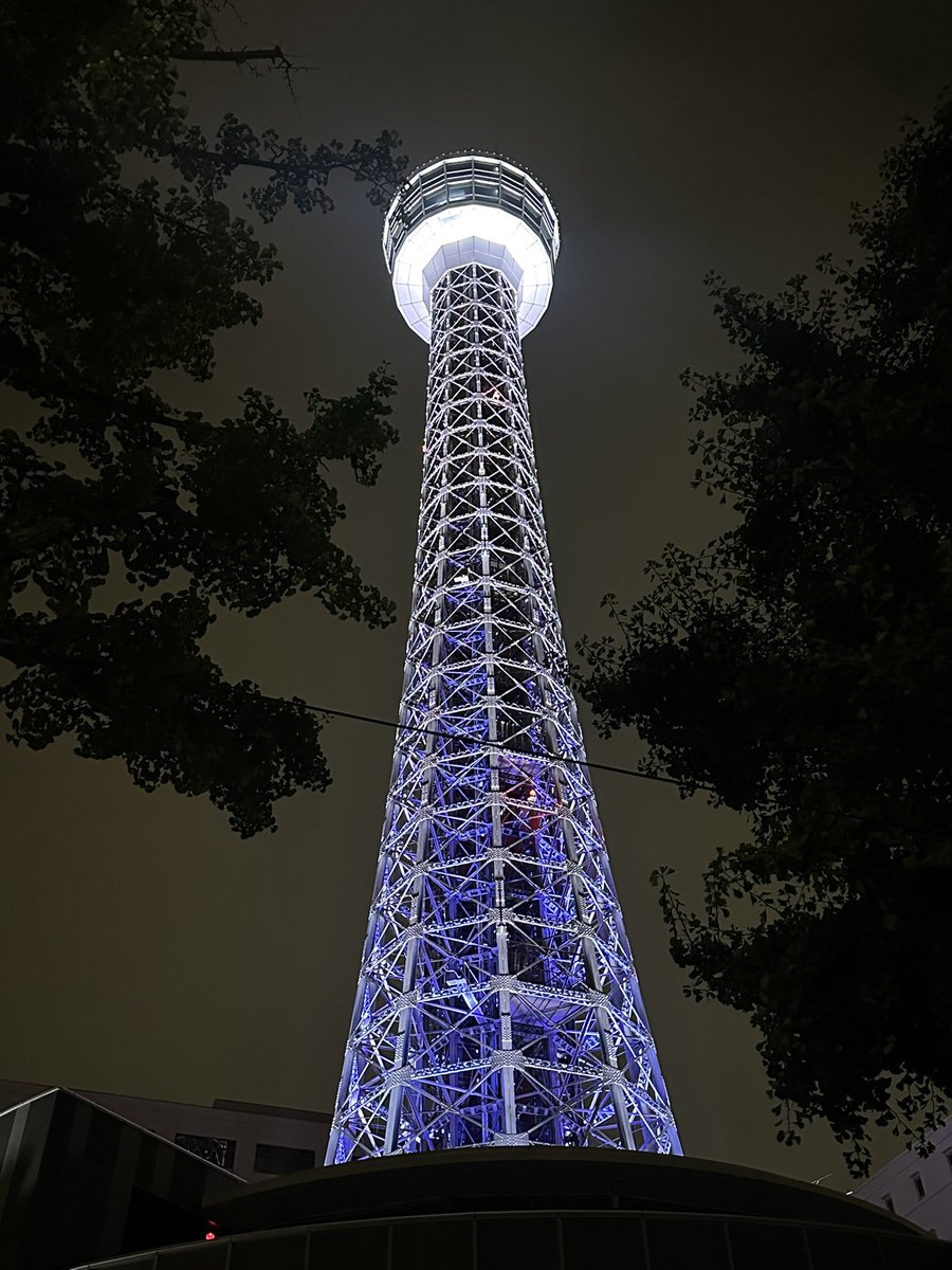 matya5544's tweet image. こんばんわ。某スーパー店員です。
気持ちが低空飛行。なのでドライブ。
マリンタワーを見に来ました。。
なっきぃカラーも見れた。。
ミモシェアで借りたBMW IX3。ミモシェアさんでいい事があったので。ありがとうございます。。
#鎌田菜月
#白紫白推しカラー
#横浜マリンタワー
#ミモシェア
