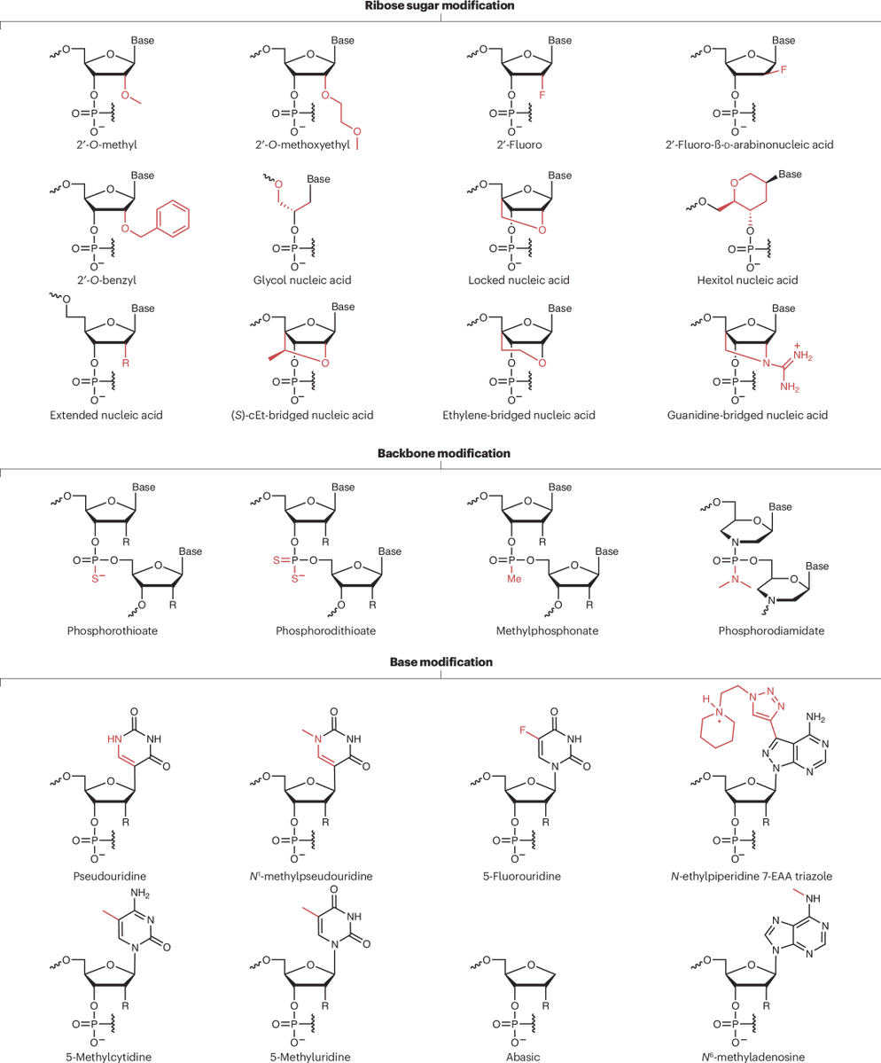 NatRevDrugDisc's tweet image. RNA chemistry and therapeutics nature.com/articles/s4157…
This new Review covers synthetic methods applied to RNA therapeutics in multiple classes and chemical modification strategies being used to enhance their properties
@yizhoudonglab @WeissmanLab
