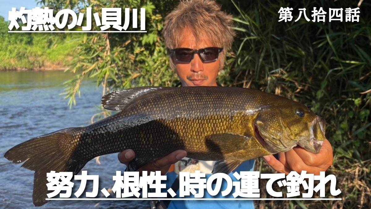 【小貝川バス釣り】真夏のバス釣りは努力・根性・時の運だ！ youtu.be/XVDkfVCeiiY?si… <a href="/YouTube/">YouTube</a>より