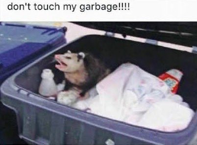 SIM se você não era fã por favor fique calado, era um lixo mas era O MEU LIXO