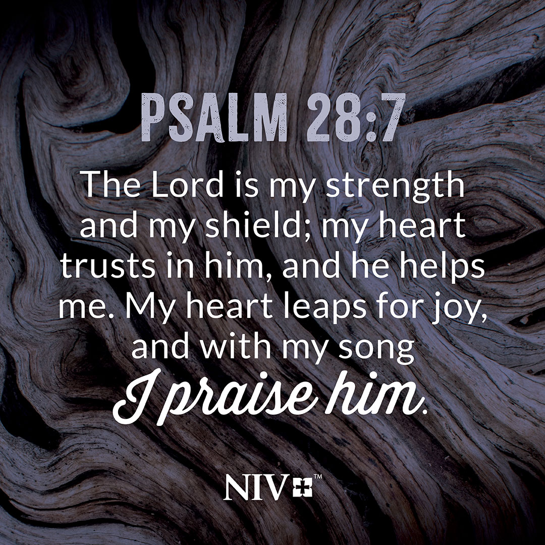 NIVBible's tweet image. Reflecting on these powerful verses about God's strength can transform your faith. Commit them to memory and be reminded of God’s unwavering love and protection.
#GodsStrength #BibleVerses #NIV