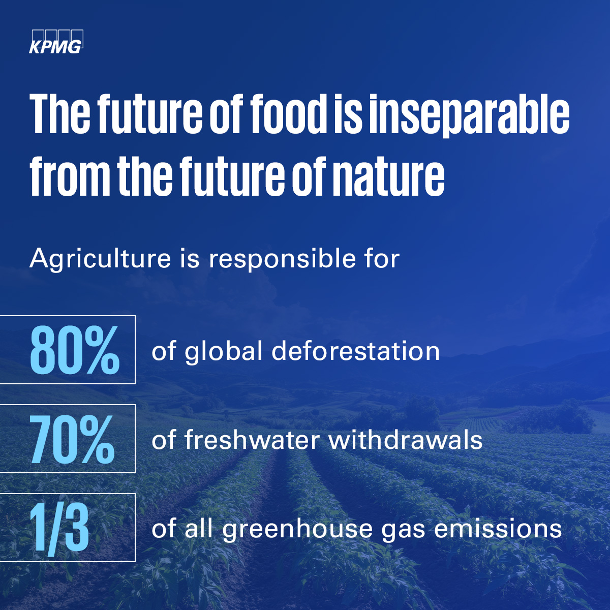 As ecosystems collapse, the #foodsystem becomes more vulnerable — to declining soil fertility, disrupted rainfall, pollinator loss, and increased pathogen spillover. #Biodiversity is not a peripheral issue — it is the essential infrastructure on which food production depends.