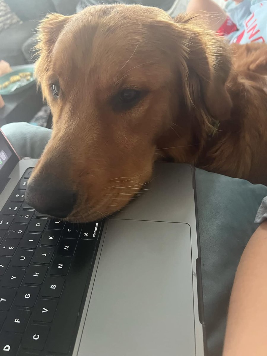 When I’m trying to write but Daisy has different plans ♥️