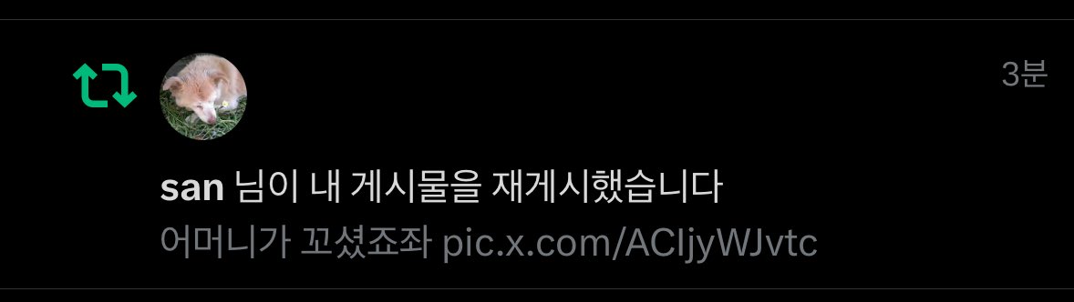 pjm_air's tweet image. 정체를 알수없는 산좌가
진짜 한 5개월동안 삼시세끼 밥주듯 오직 이 영상만 알티하심
이젠 안오면 안부가 궁금할 지경