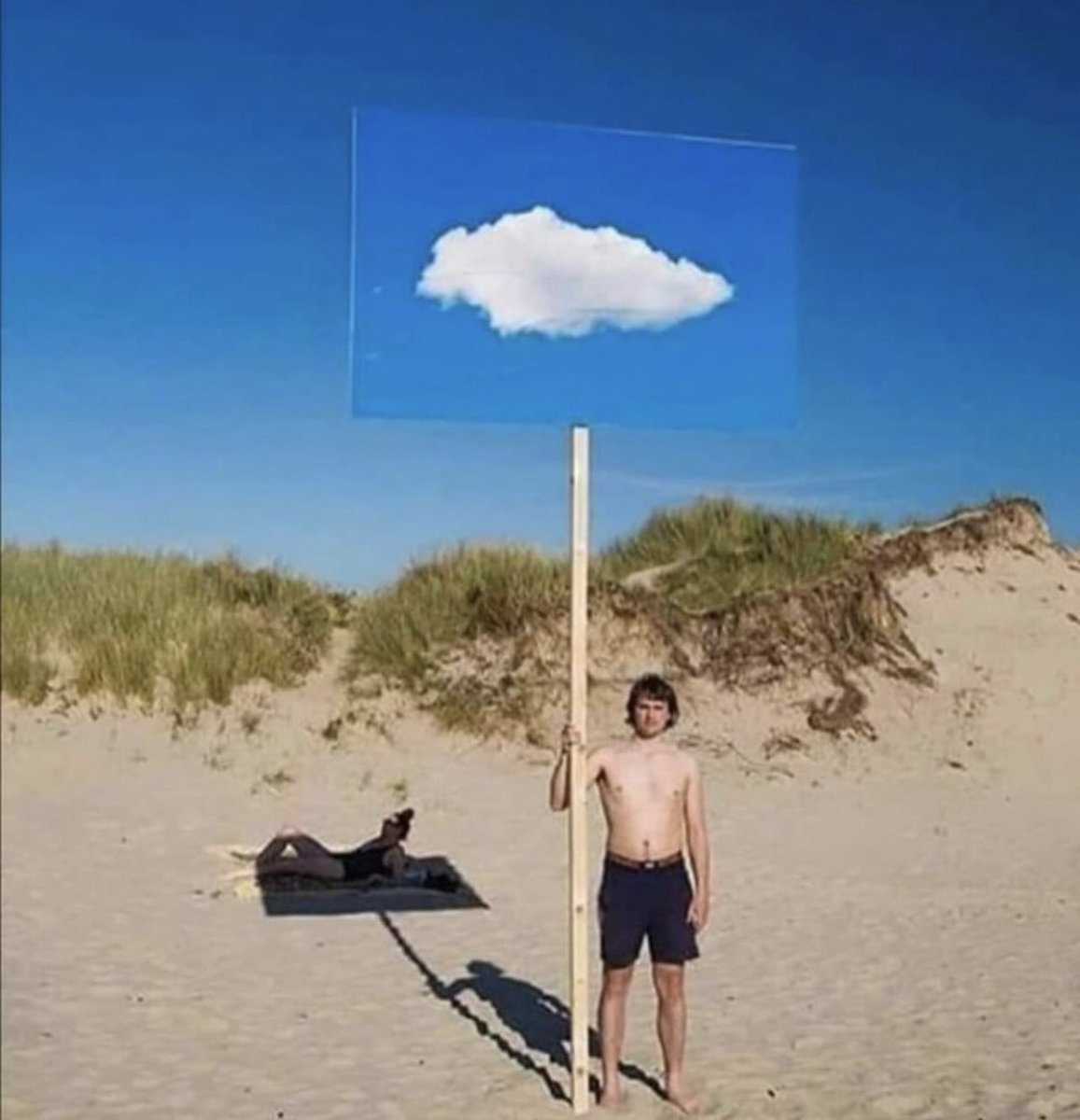 insane poses (@insaneposes) on Twitter photo 