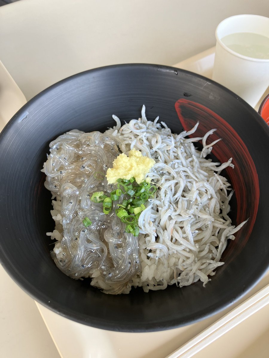 umameshi_bot's tweet image. 田子の浦の、、、🤤
#飯テロ　#グルメ　#相互　#企業公式