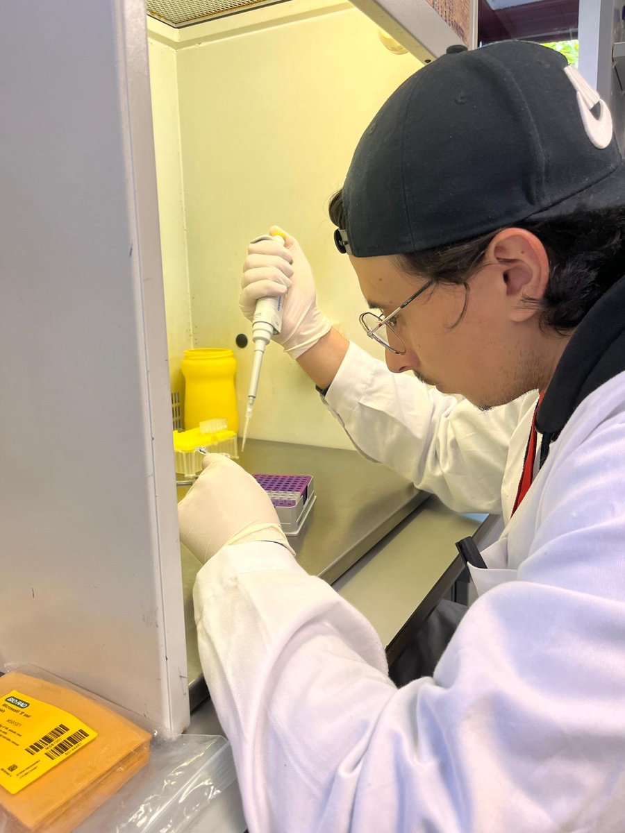 Birdpath Patología Aviar tweet media