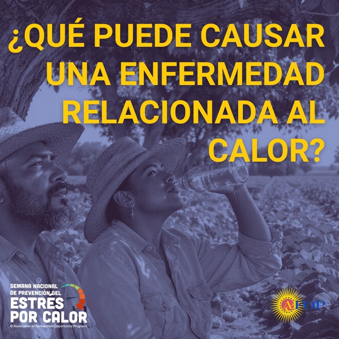 AFOPHealth&Safety tweet media