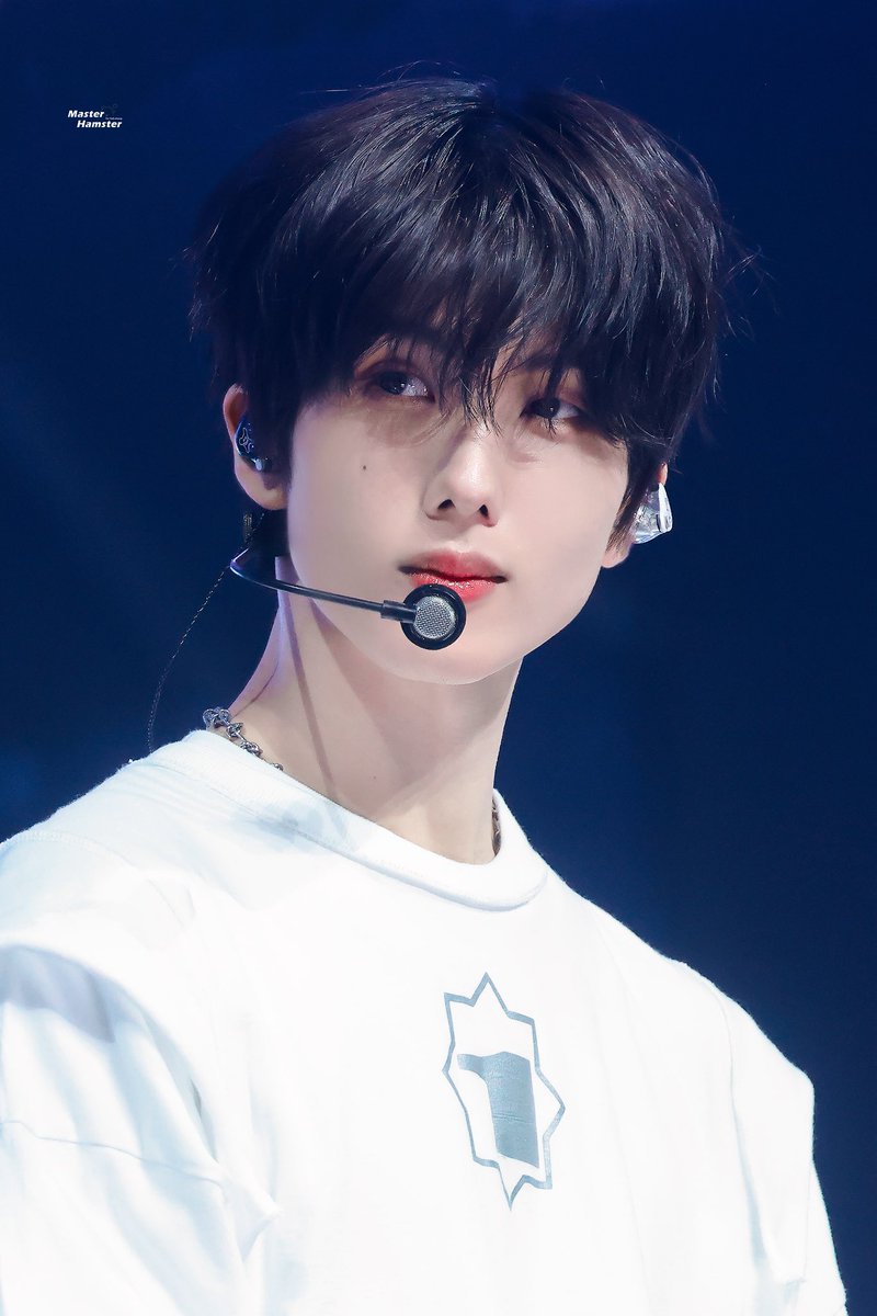 MasterHamster tweet media