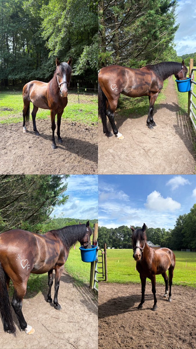 🙂‍↔️😮‍💨 mineee.