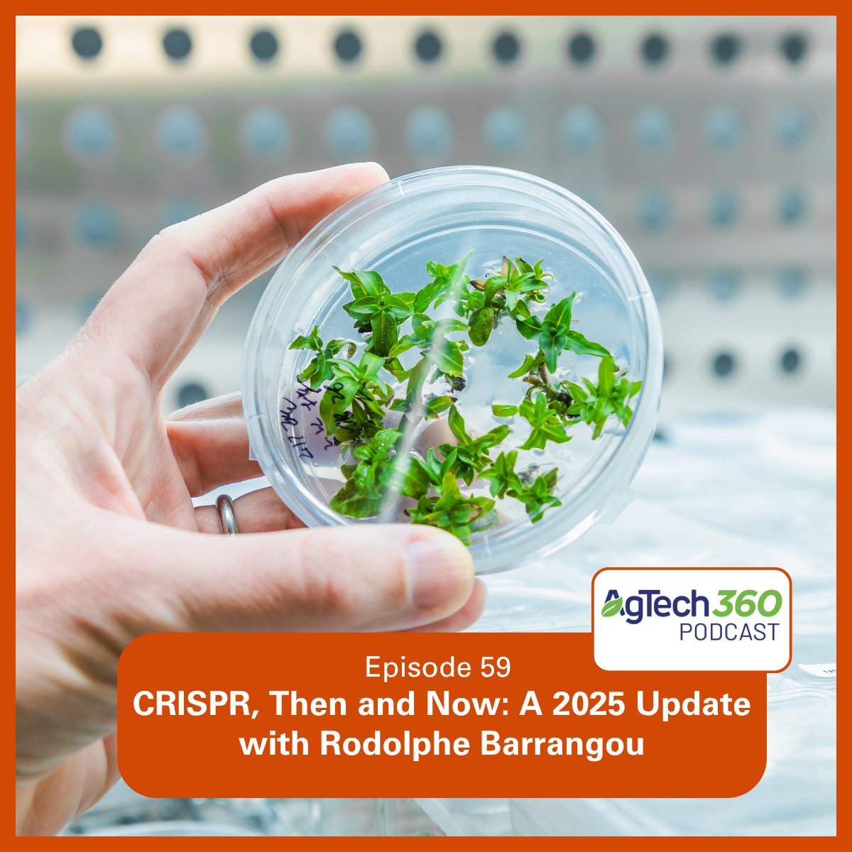 New #AgTech360 series on gene editing starts with Dr. Rodolphe Barrangou -CRISPR pioneer and our first-ever returning guest. We explore breakthroughs shaping the future of agriculture. 🎧🌱

Listen here: go.ncsu.edu/agtech360-barr…
#CRISPR #AgTech #GeneEditing #AgInnovation #Podcast