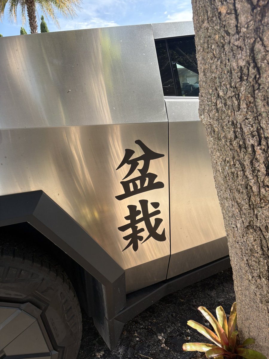 Emblem Bonsai tweet media