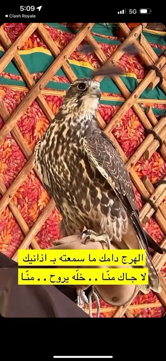 AF (@abf_78) on Twitter photo 