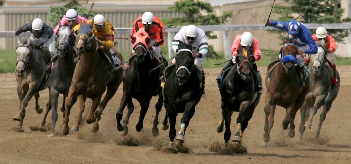 CARRYOVER Tuesday July 15th <a href="/BCRacebook/">Racebook</a> <a href="/HPIbet/">HPIbet</a> #watchwagerwin

Pick-5▪️$315,691.54 <a href="/AssiniboiaDowns/">Assiniboia Downs</a> 
Starts Race #3 (6:25pm PST)

✅Download the HPIbet App or visit hpibet.com for the full list of daily carryovers