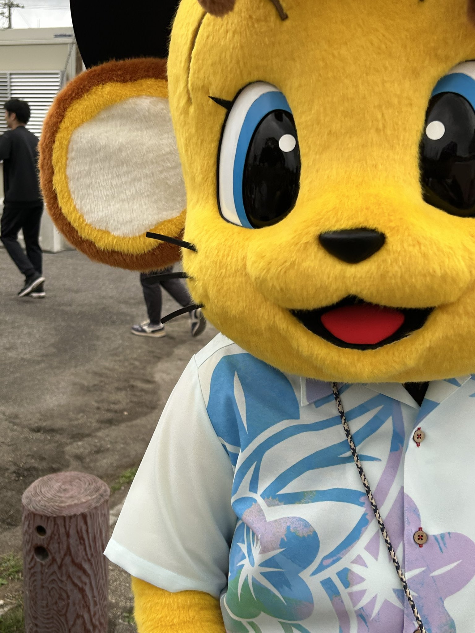TiNa♡♡プロフ必読‼︎様リクエスト ℋ𝒾𝓃𝒶🎀🐰ྀི拡散垢 on X: 