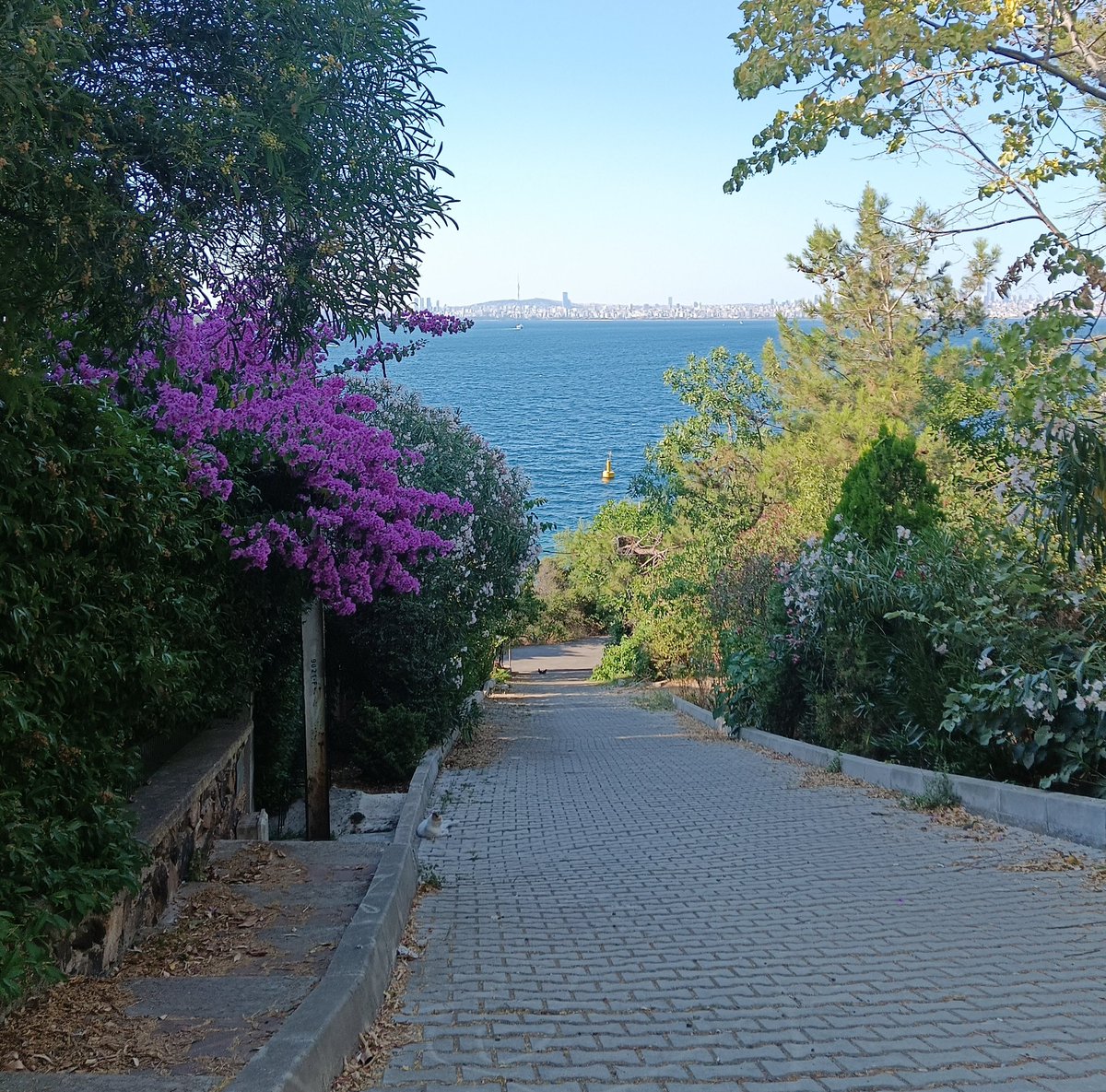 asliiguncann's tweet photo. ada 🌿🩷🌊 https://t.co/4GYfyYiIoB