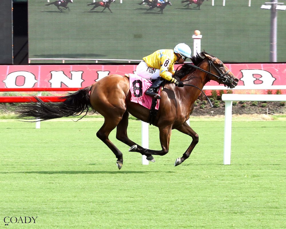 Great to see Air Recruit in the winner’s circle following his first run since the 2023 <a href="/BreedersCup/">Breeders' Cup</a> &amp; <a href="/InfoArqana/">ARQANA</a> purchase Evershed make a successful 3yo debut. The team goes 2-for-2 opening week at <a href="/ColonialDowns/">Colonial Downs Racetrack</a>. Well done <a href="/delacour_arnaud/">Arnaud Delacour</a> &amp; congrats <a href="/griermb/">Mark Grier</a>!