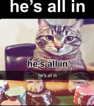 limime (@limimeithink) on Twitter photo 