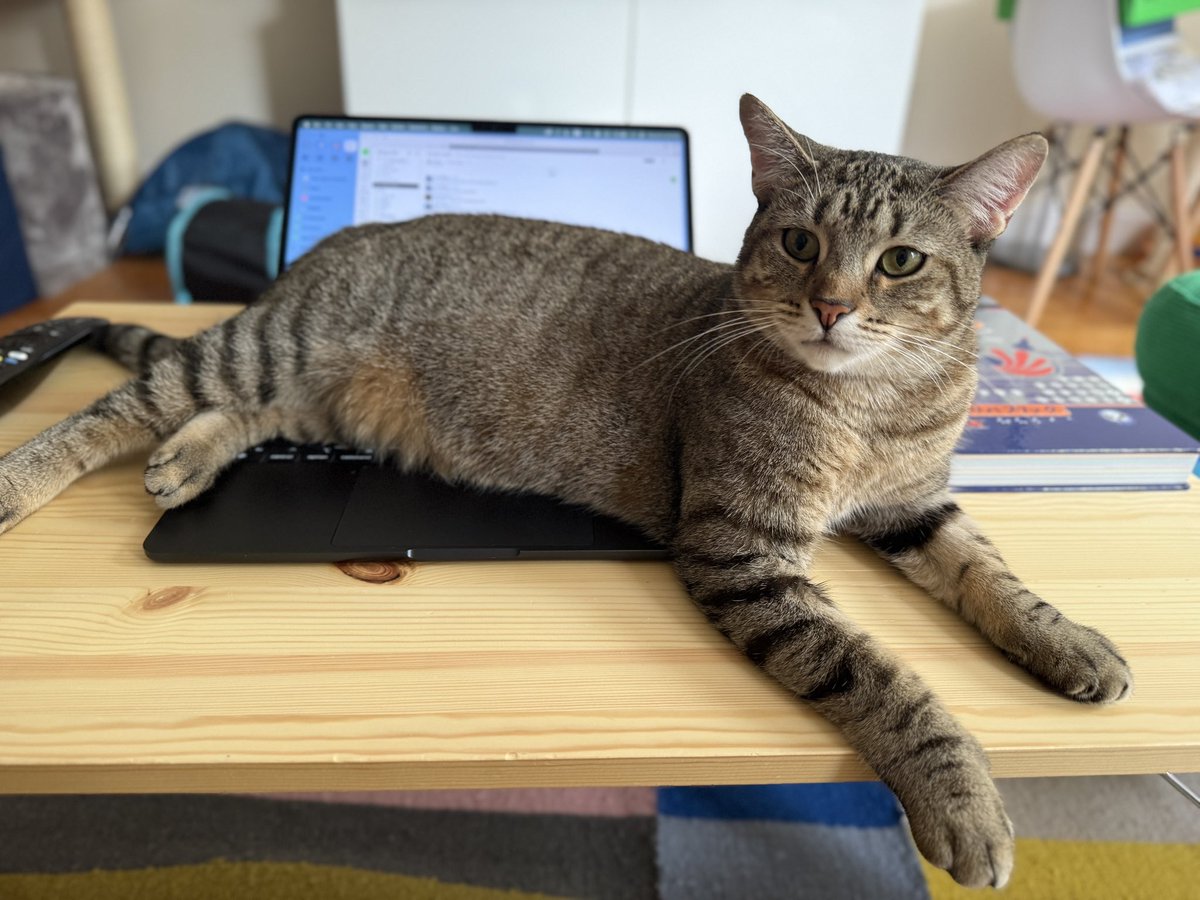 raywongy's tweet image. Work is canceled today