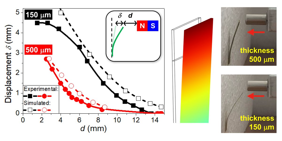 IsomUpm's tweet image. 📢📢New article by our M. Proença and A. Rivelles on a scalable and solvent-free processing route used to produce magnetic soft actuators of thermoplastic polyurethane and yttrium iron garnet. You can read it here: short.upm.es/928gl